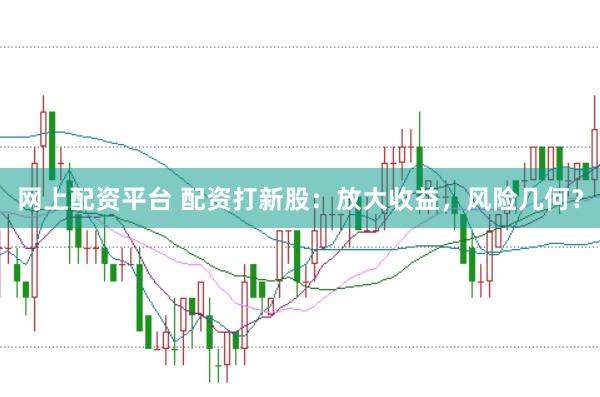 网上配资平台 配资打新股：放大收益，风险几何？