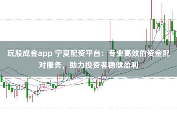 玩股成金app 宁夏配资平台：专业高效的资金配对服务，助力投资者稳健盈利