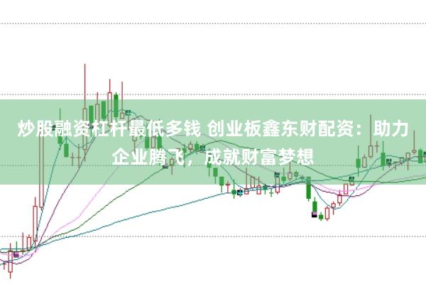 炒股融资杠杆最低多钱 创业板鑫东财配资：助力企业腾飞，成就财富梦想