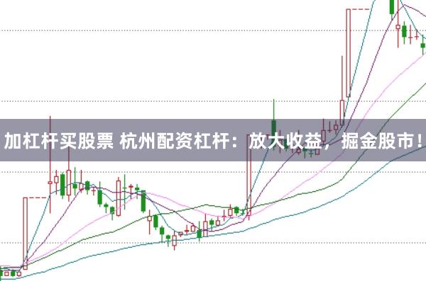 加杠杆买股票 杭州配资杠杆：放大收益，掘金股市！