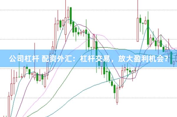 公司杠杆 配资外汇：杠杆交易，放大盈利机会？