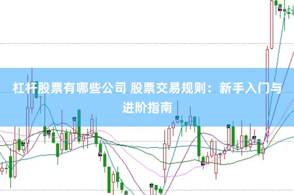 杠杆股票有哪些公司 股票交易规则：新手入门与进阶指南
