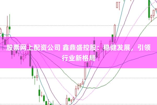股票网上配资公司 鑫鼎盛控股：稳健发展，引领行业新格局