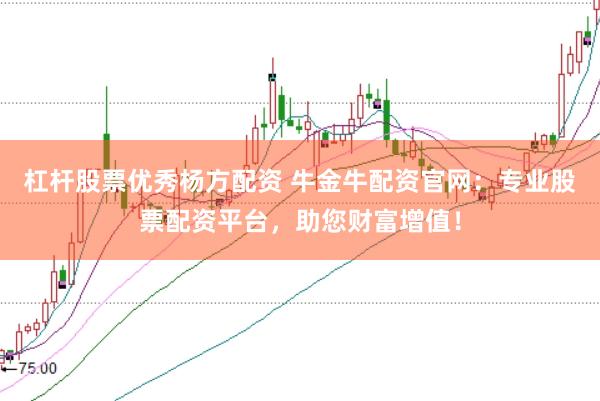 杠杆股票优秀杨方配资 牛金牛配资官网：专业股票配资平台，助您财富增值！