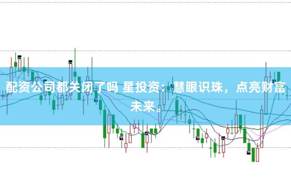 配资公司都关闭了吗 星投资：慧眼识珠，点亮财富未来。