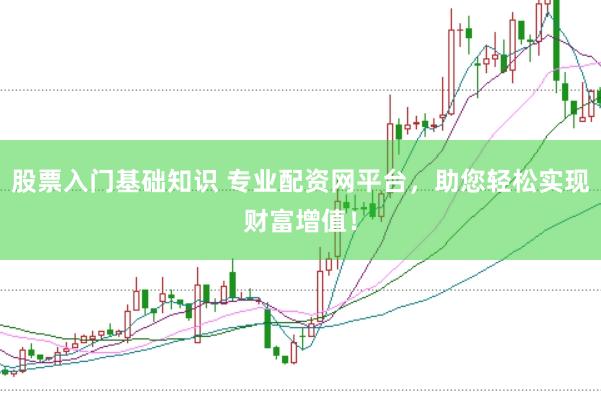 股票入门基础知识 专业配资网平台，助您轻松实现财富增值！
