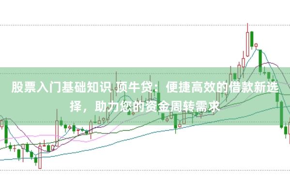 股票入门基础知识 顶牛贷：便捷高效的借款新选择，助力您的资金周转需求