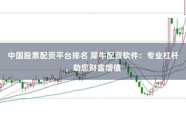 中国股票配资平台排名 犀牛配资软件：专业杠杆，助您财富增值