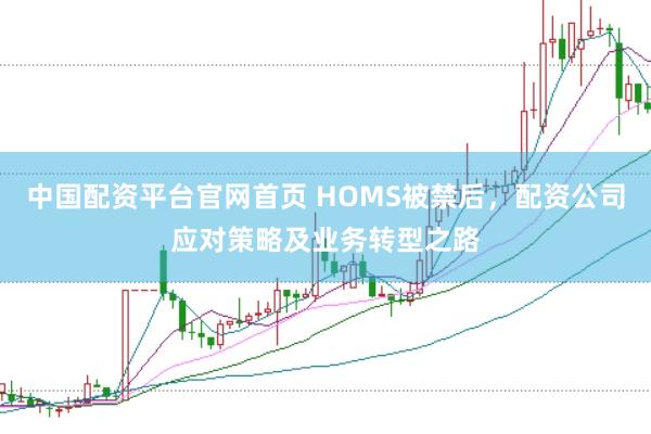 中国配资平台官网首页 HOMS被禁后，配资公司应对策略及业务转型之路