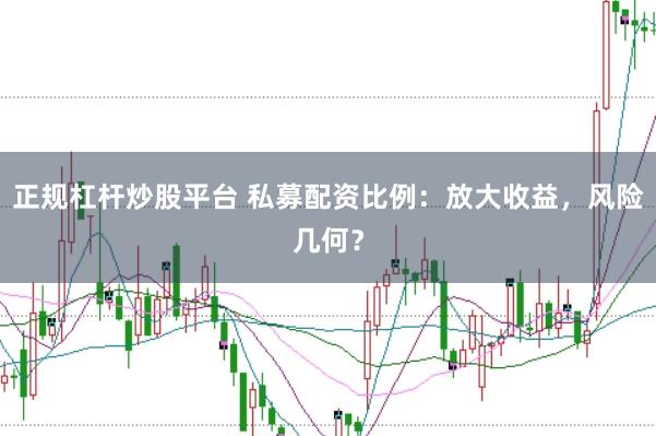 正规杠杆炒股平台 私募配资比例：放大收益，风险几何？