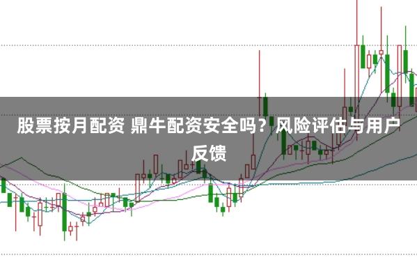 股票按月配资 鼎牛配资安全吗？风险评估与用户反馈