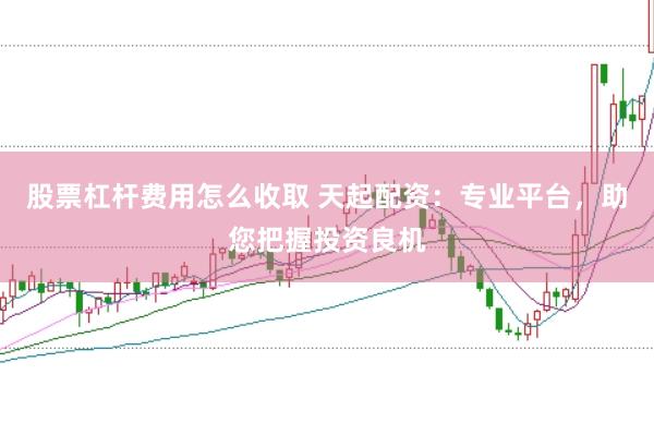 股票杠杆费用怎么收取 天起配资：专业平台，助您把握投资良机
