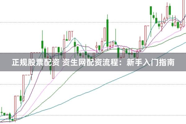 正规股票配资 资生网配资流程:新手入门指南