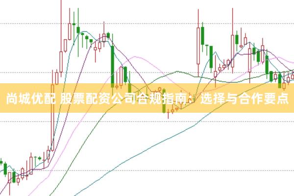 尚城优配 股票配资公司合规指南:选择与合作要点
