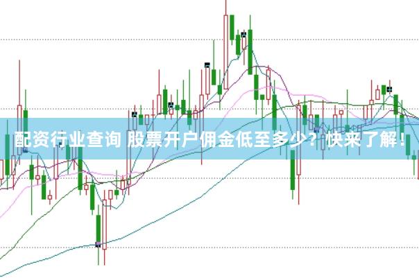 配资行业查询 股票开户佣金低至多少?快来了解!