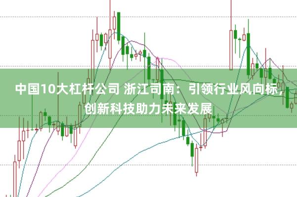 中国10大杠杆公司 浙江司南:引领行业风向标,创新科技助力未来发展
