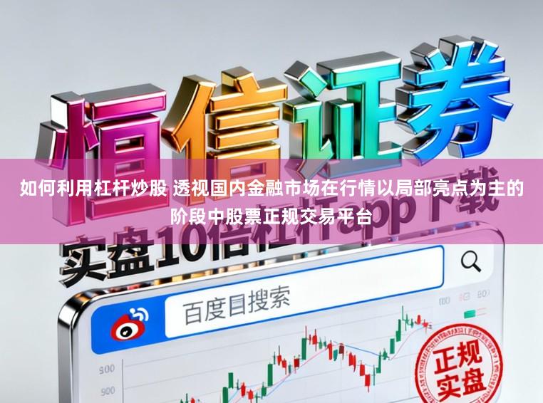 如何利用杠杆炒股 透视国内金融市场在行情以局部亮点为主的阶段中股票正规交易平台