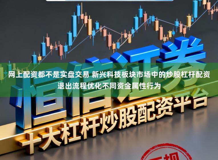 网上配资都不是实盘交易 新兴科技板块市场中的炒股杠杆配资退出流程优化不同资金属性行为